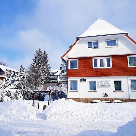 Hotel Elisabeth-Ilse Braunlage Dış mekan fotoğraf