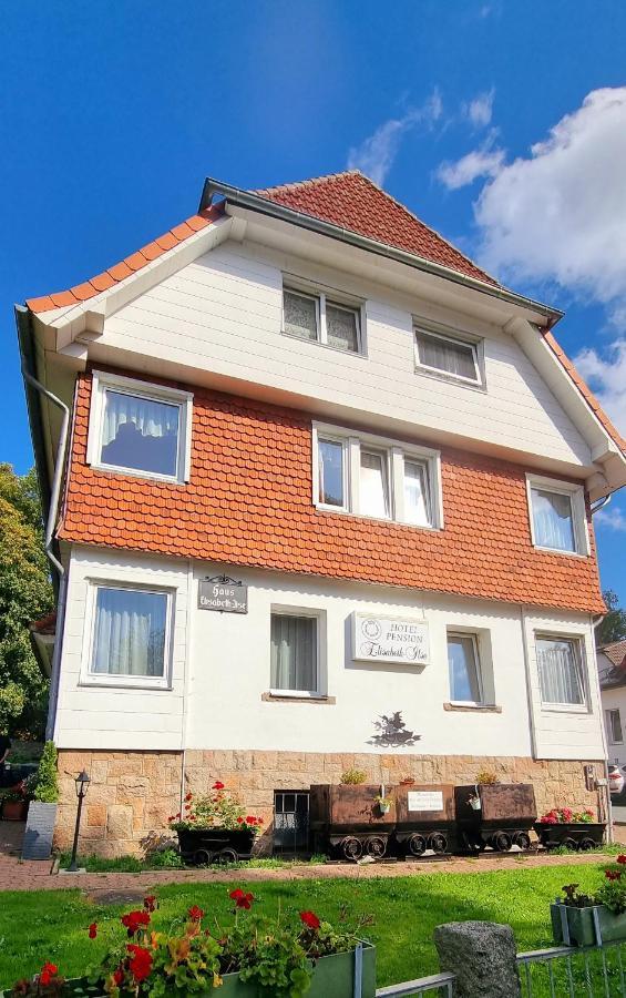 Hotel Elisabeth-Ilse Braunlage Dış mekan fotoğraf