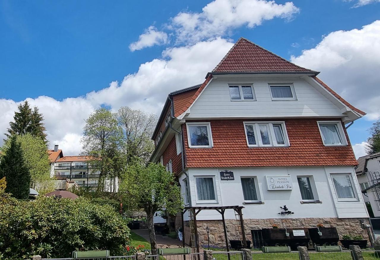Hotel Elisabeth-Ilse Braunlage Dış mekan fotoğraf