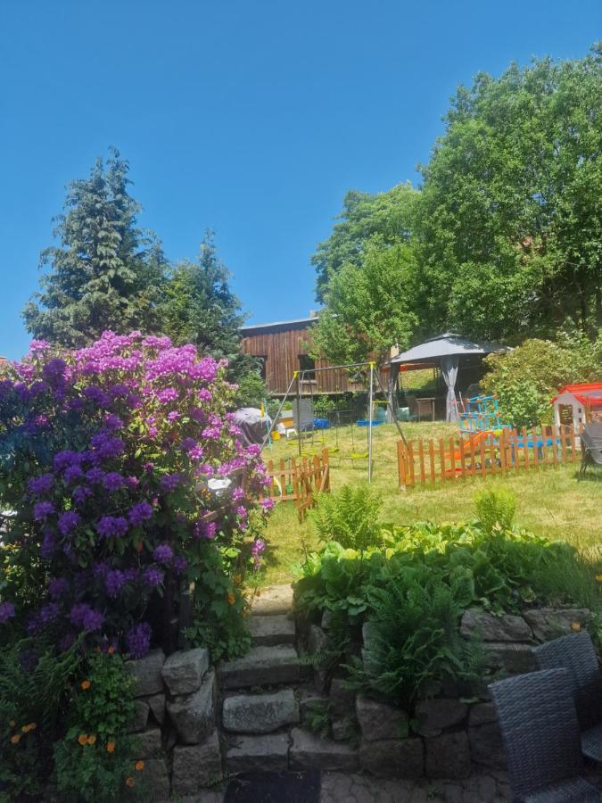 Hotel Elisabeth-Ilse Braunlage Dış mekan fotoğraf